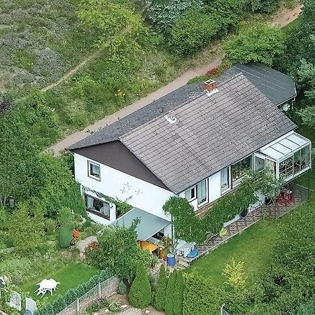 Amazing Apartment In Hinterweidenthal With Wifi Exterior photo